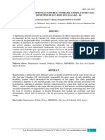 Programas de Hipertensão Arterial No Brasil - Um Relato de Caso Sobre o Município de São José Do Calçado - ES