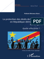 Africaines: La Protection Des Droits de L'homme en République Démocratique Du Congo