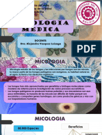 Micologia 1