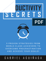 Productivity Secrets by Gabriel Aguinaga