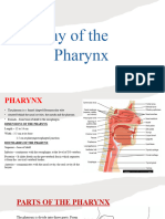 PHARNYX