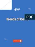 Breeds of Cattle