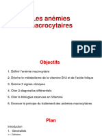 Anémies Macrocytaires