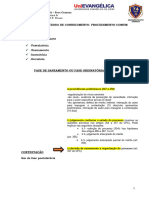 Apostila6-Proc - Civil - Profa - AndréaSiqueira-2022-1