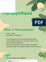 13 Photosynthesis