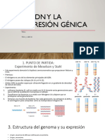 TEMA 6 - Biologia II - Lomloe - SM - 2 - 1 - ADN Y LA EXPRESIÓN GÉNICA