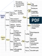 Anatomía Clínica