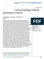 Autophagy and Autophagy-Related PATHWAY IN CANCER Nature