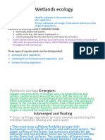 Wetlands Ecology