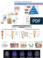 Regenerative Endodontics Pedagogy