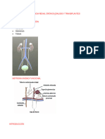 Insuficiencia Renal Crónica Dialisis y Transplantes