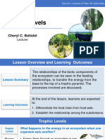 Lesson 1.3 - Trophic Levels