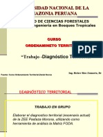 7.0 Trabajo Diagnostico Territorial