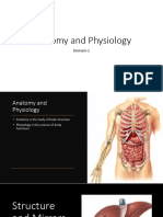 Anatomy and Physiology