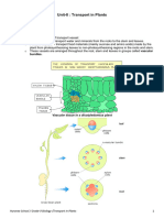 2024 Notes-Transport in Plants