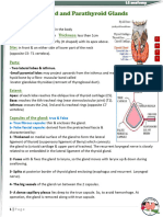 L2 Anatomy