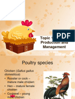 Poultry Production