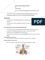 Bio P2