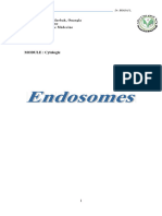 9 Endosomes