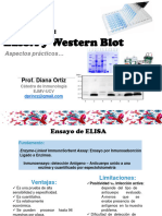 Practica Elisa y WB 2024