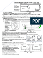 Compo SVT Tle D Pl-Est 2023-2024-1