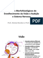 Aspectos Morfofisiológicos Do Envelhecimento Da Visão e Audição