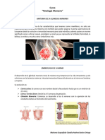 Embriologia y Anatomia Mamaria