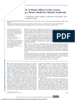 The Structural Role of Elastic Fibers in The Cornea Investigated Using A Mouse Model For Marfan Syndrome OPEN ACCESS