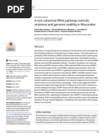 A Non-Canonical RNAi Pathway Controls Virulence and Genome Stability in Mucorales