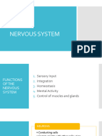 Nervous System 2021