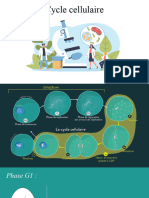 Cycle Cellulaire - Mitose Animation