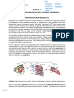 Act 17 The Respiratory and Circulatory System of Vertebrates