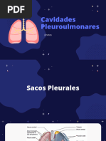 Espacio Pleurpulonal