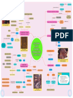 Mapa Mental: Tejidos Huari y Tiahuanaco Comparaciones y Contextos