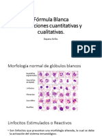 Teoría de Laboratorio 4. Formula Blanca Parte II