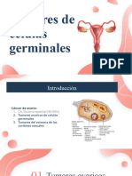 Tumores de Células Germinales