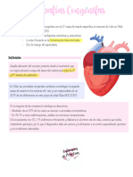 Cardiopatías Congénitas 