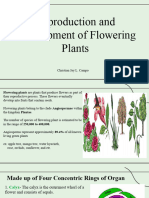 Reproduction and Development of Flowering Plants - CAMPO