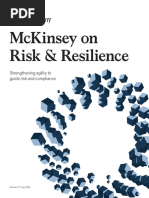 Mckinsey On Risk and Resilience Issue 17