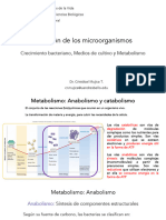 Clase 04 - Metabolismo Bacteriano 202420