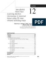 Chapter 12 - Correlative Two Photon and Serial Block Face Sca - 2017 - Methods I