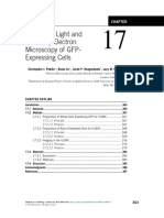 Chapter 17 Integrated Light and Scanning Electron Micr 2014 Methods in Cel