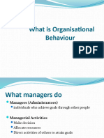 What Is Organisational Behaviour