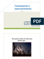 Treinamento e Desenvolvimento