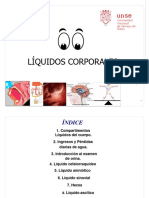 Teórico 22 Orina y Otros Líquidos Corporales
