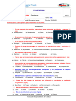 Examen Final 2024 Prim Aux