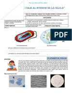 Actividad 1 "El Fascinante Viaje Al Interior de La Célula"