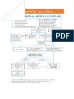 Enfermedad Renal Crónica GES