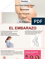 El Embarazo