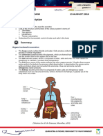 LXL - Gr11LifeSciences - 24 - Excretion in Humans - 13aug2014